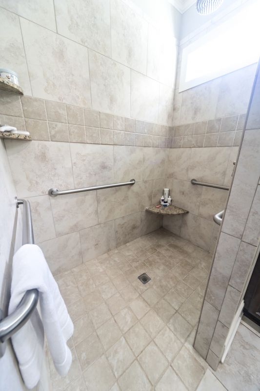 Open Shower with Floor-Level Entry